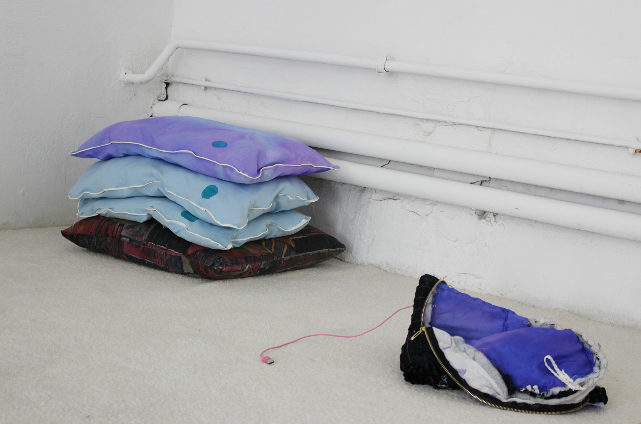 Softy is as soft as a pillow - Pauline Perplexe
