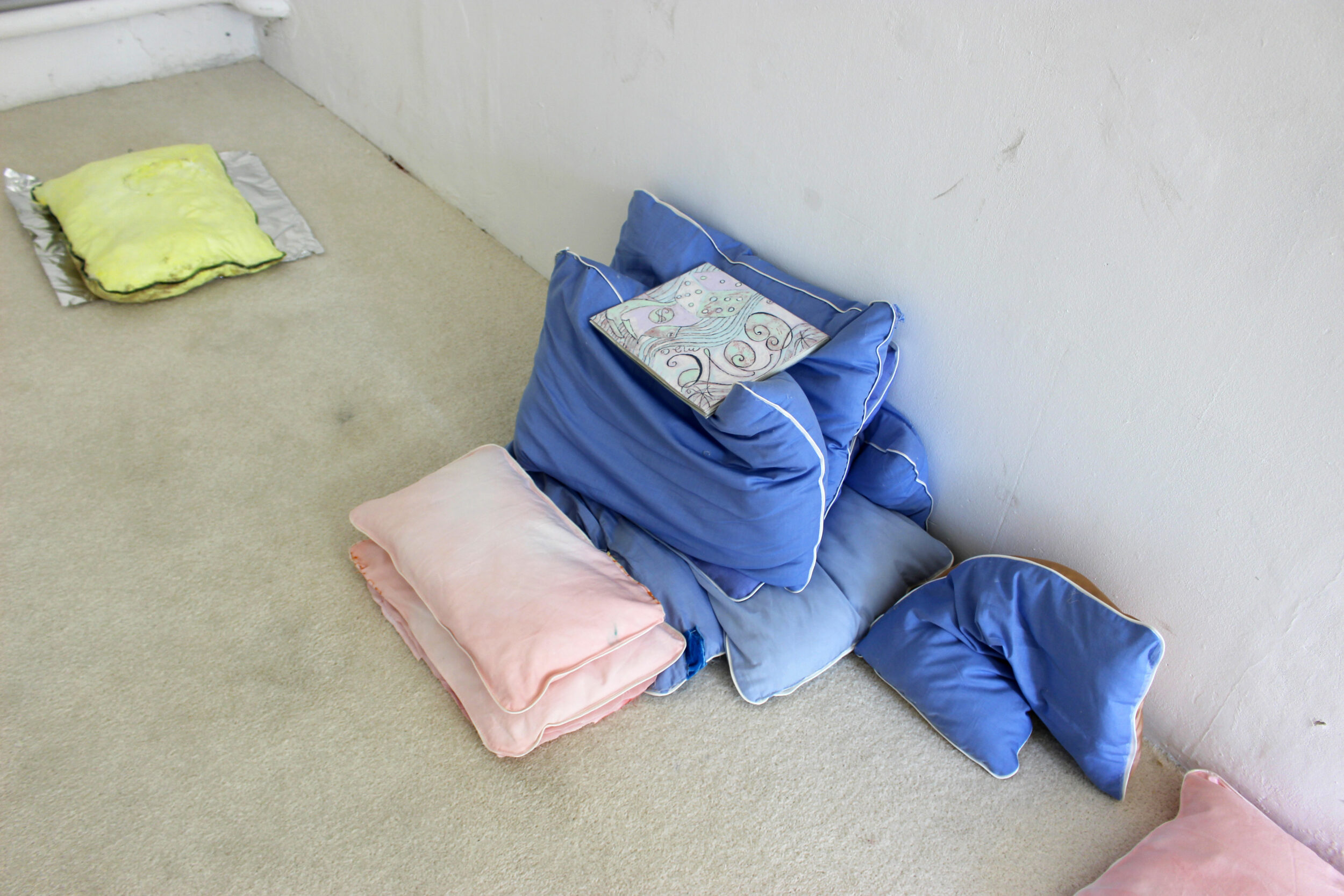 Softy is as soft as a pillow - Pauline Perplexe