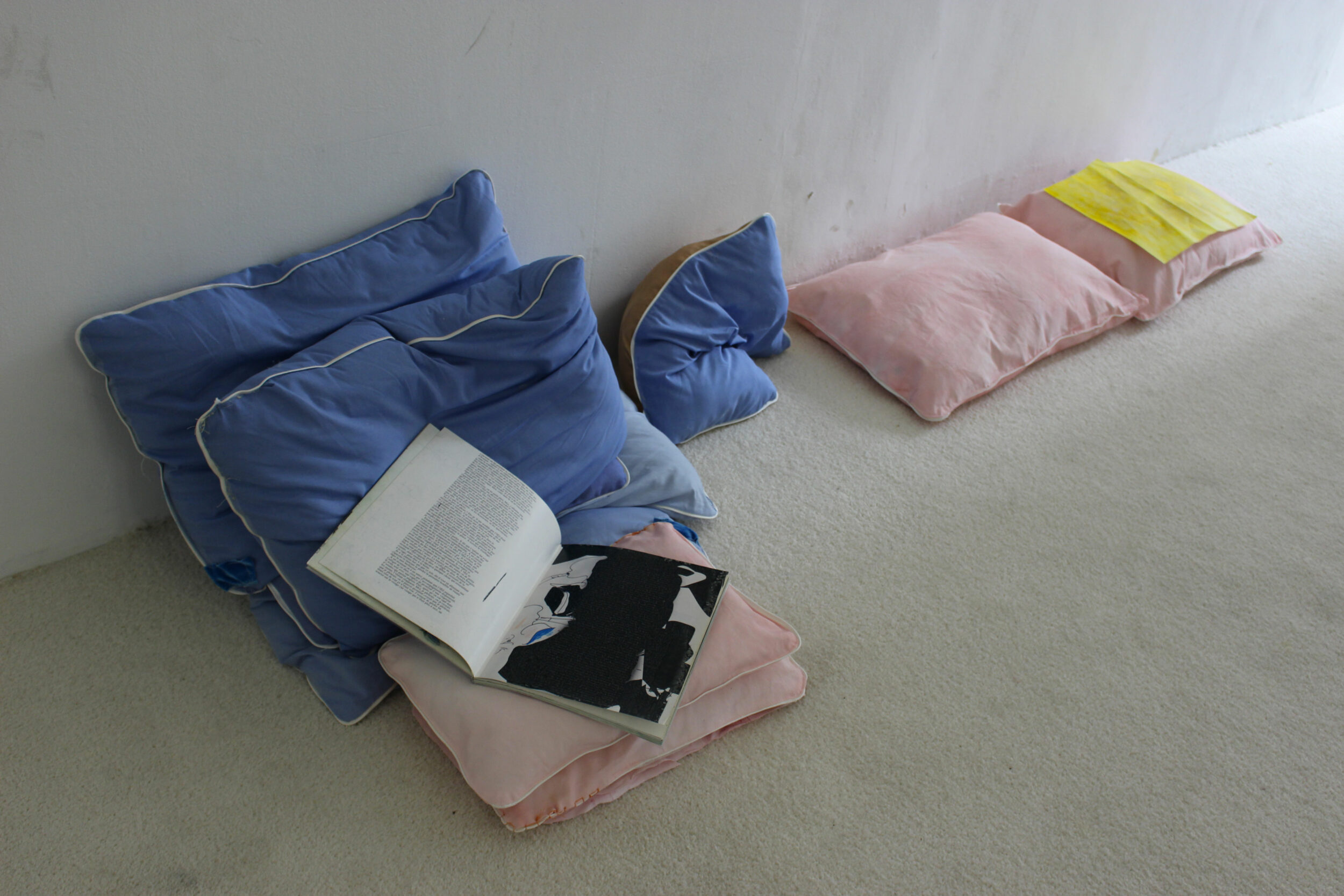 Softy is as soft as a pillow - Pauline Perplexe