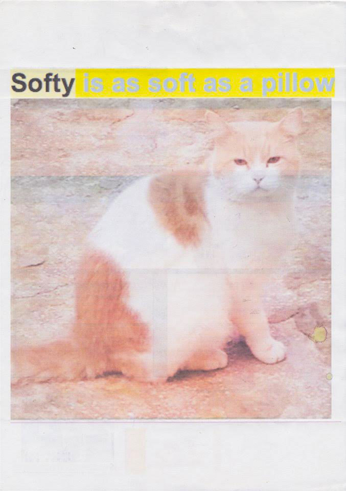 Softy is as soft as a pillow - Pauline Perplexe