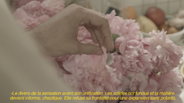Nous sommes faits du même limon - Pauline Perplexe