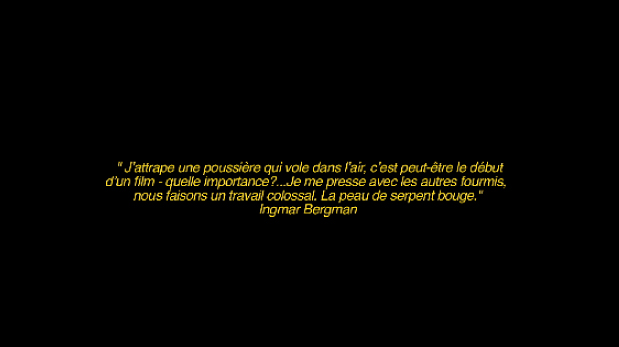 Nous sommes faits du même limon - Pauline Perplexe