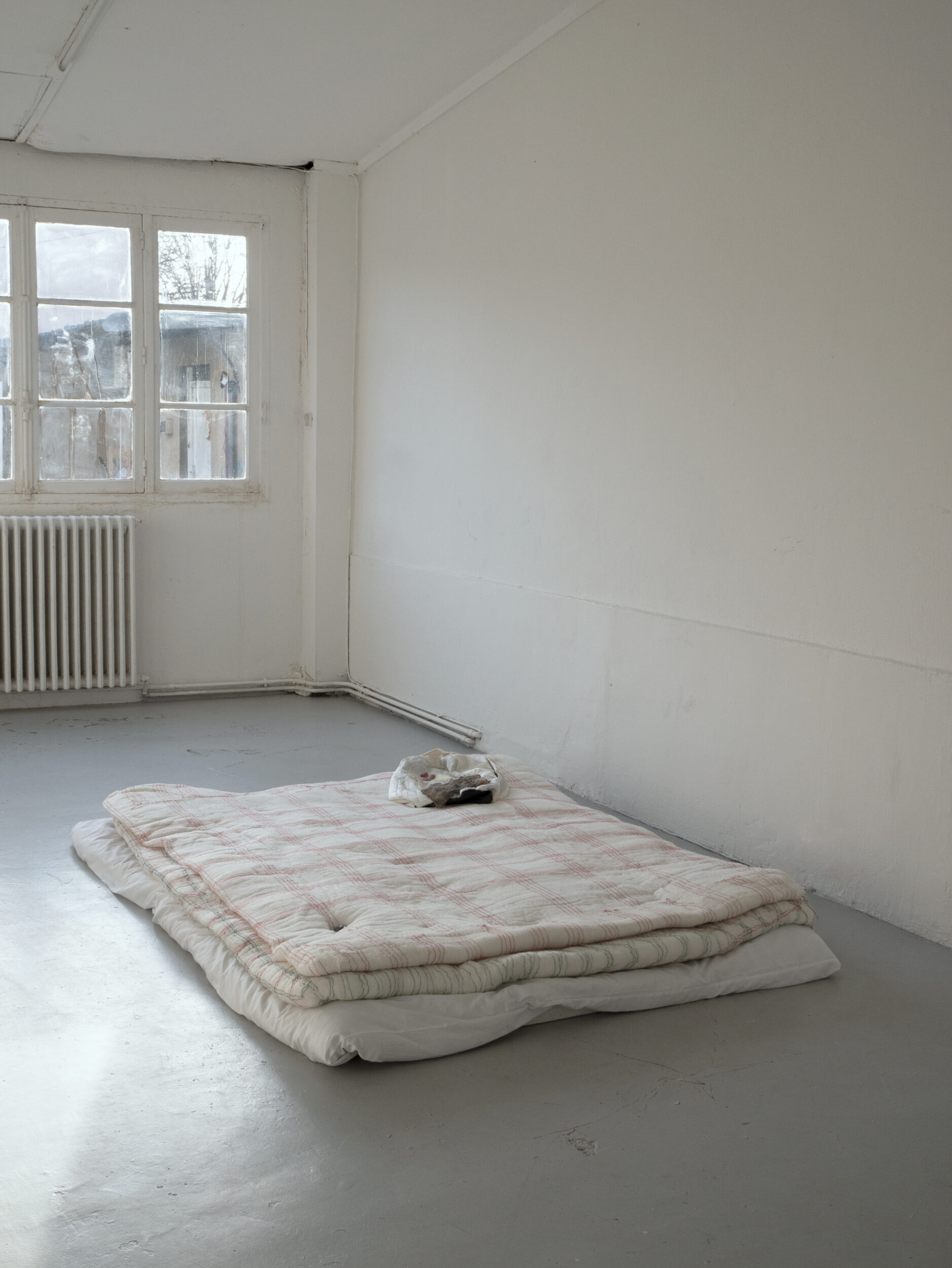 Jus privé baiser - Pauline Perplexe
