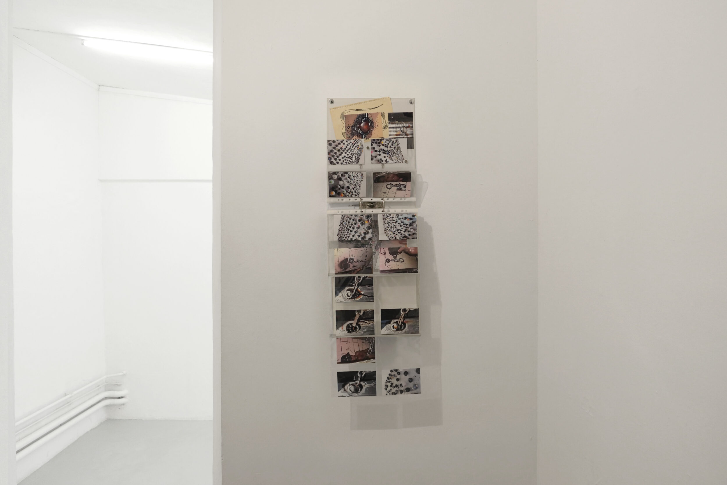 Promises - Pauline Perplexe