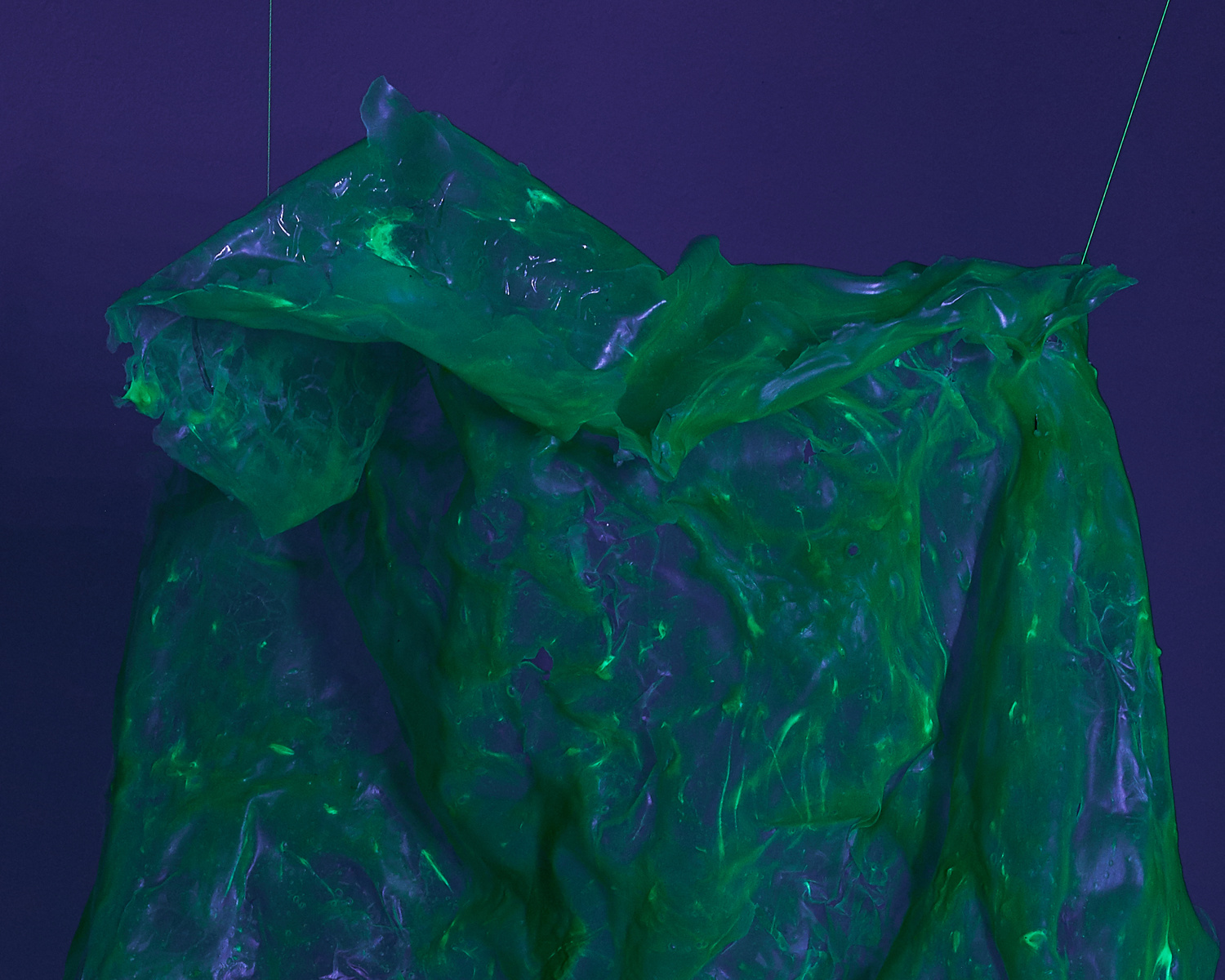Snack fragile - Pauline Perplexe