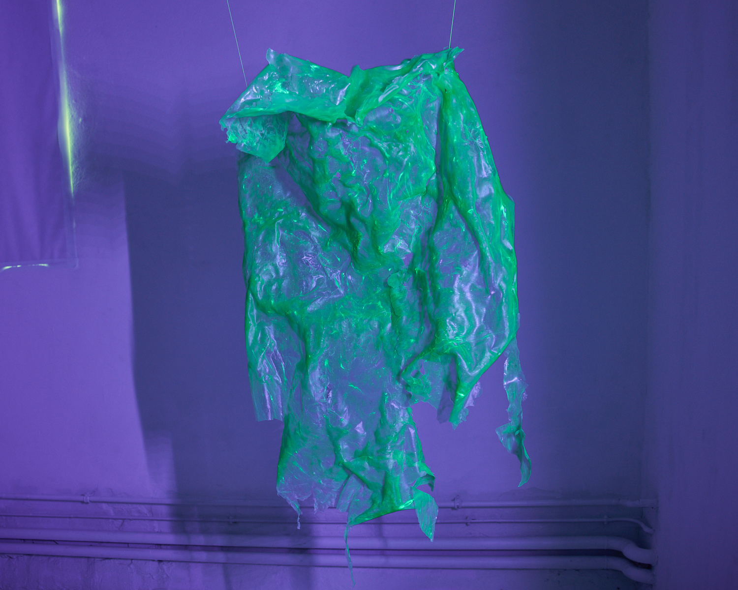Snack fragile - Pauline Perplexe