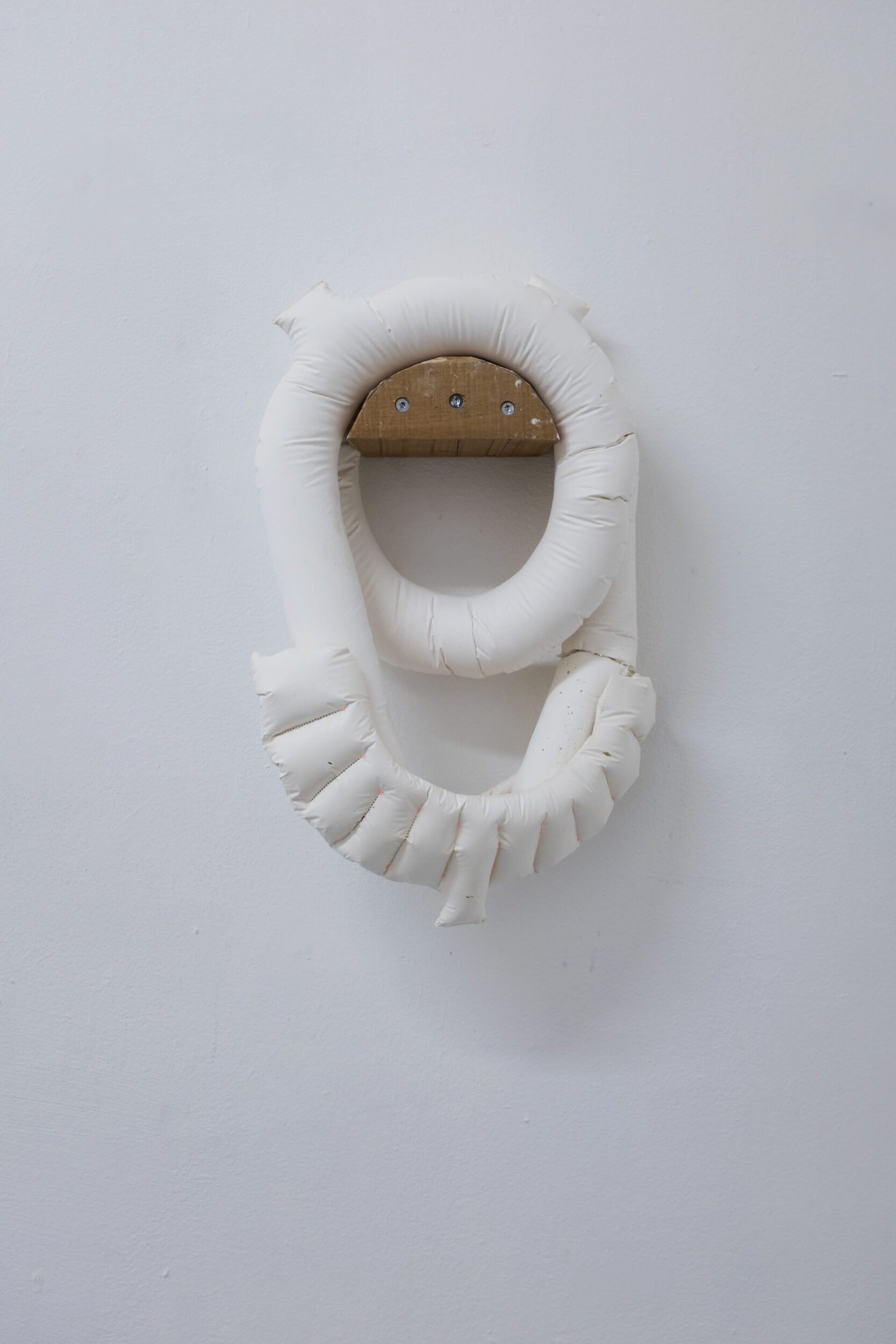 SOUCIS - Pauline Perplexe