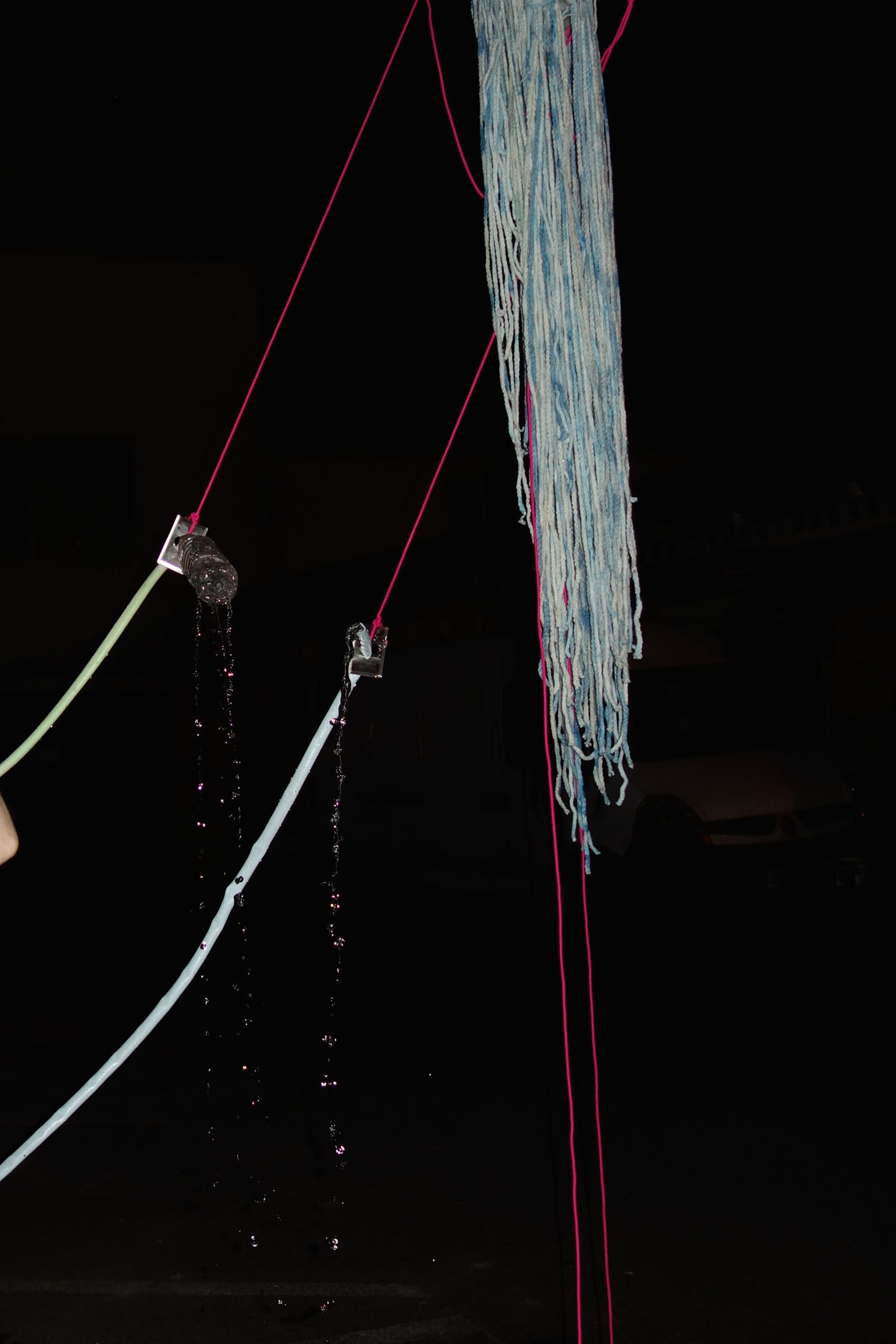 Non Newtonian Princess - Pauline Perplexe