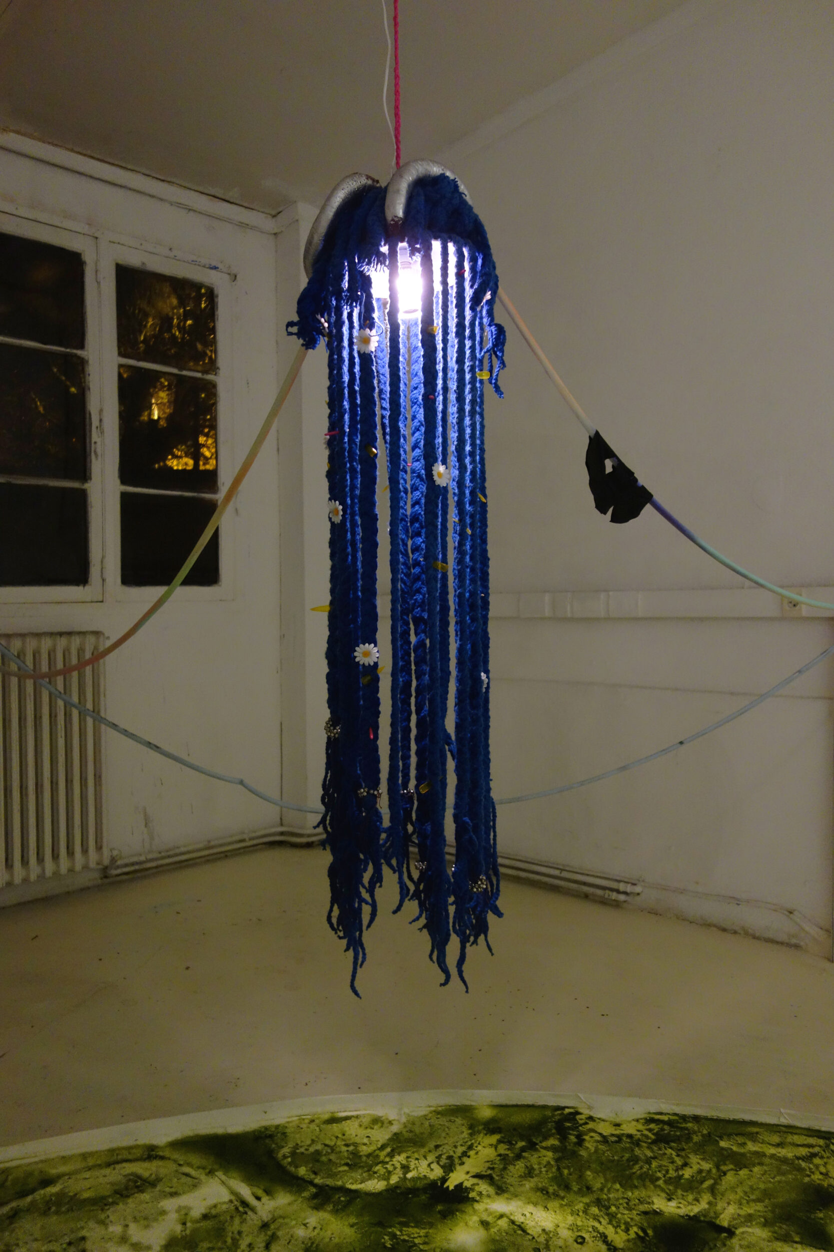 Non Newtonian Princess - Pauline Perplexe