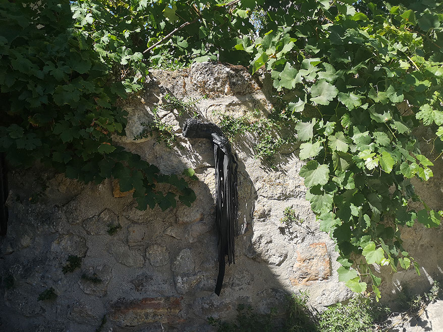 Bièvre Mystagogique - Pauline Perplexe