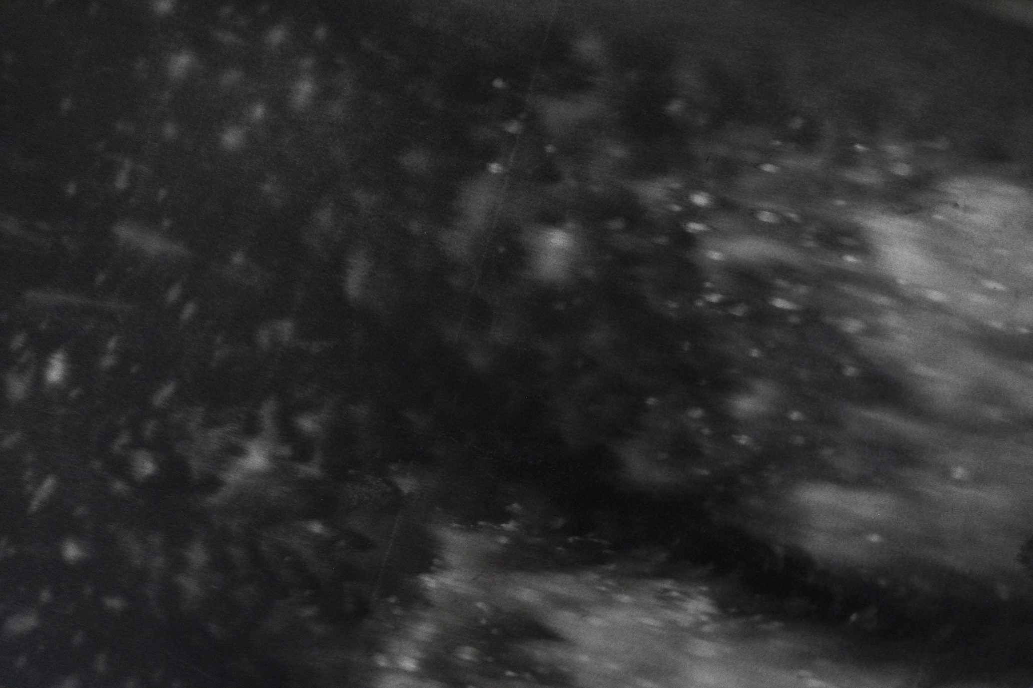 The Skin of Things is their Name - Pauline Perplexe