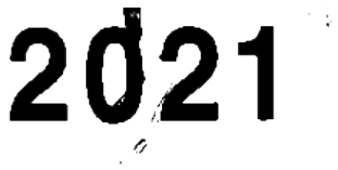 Year 2021