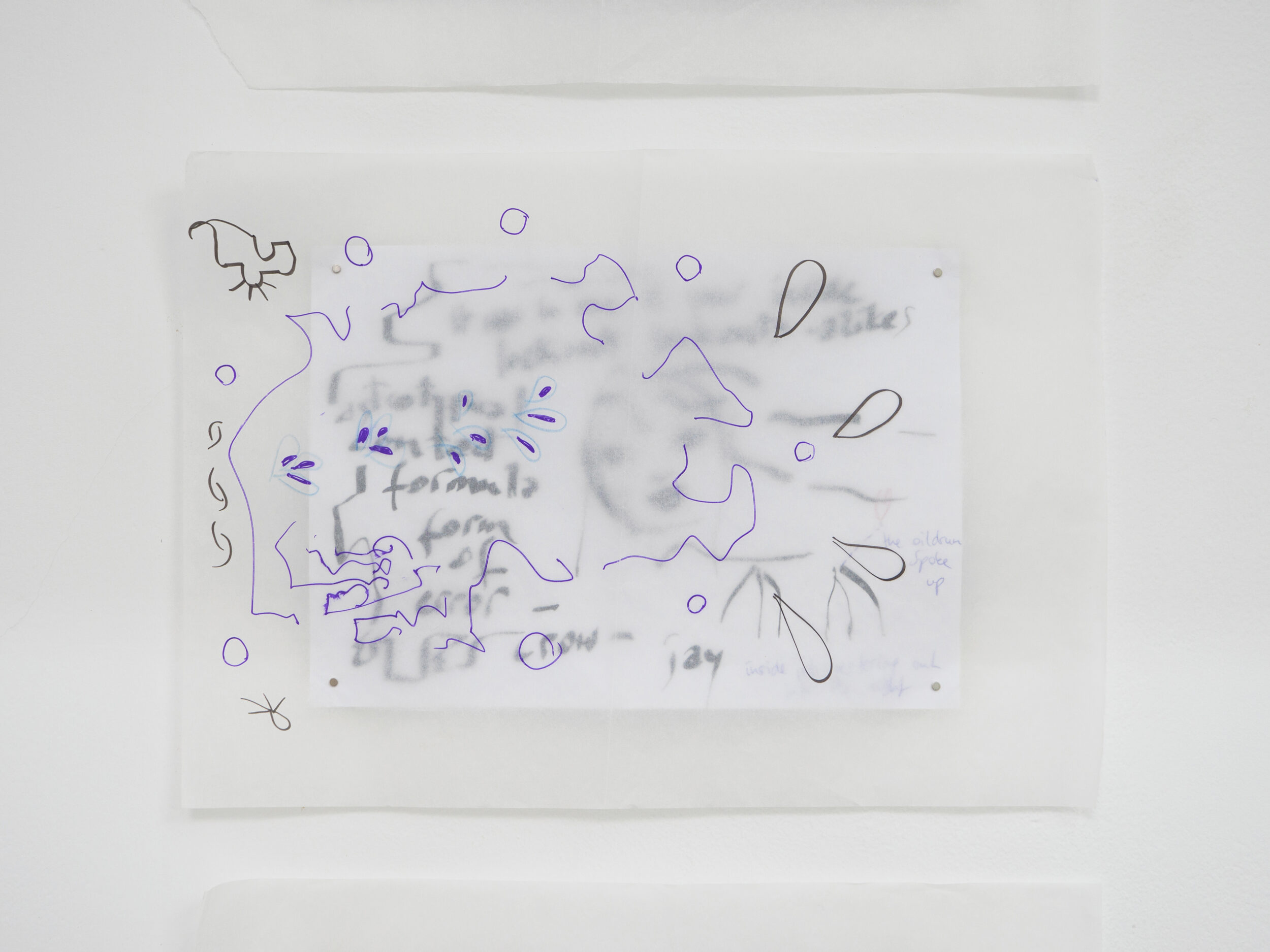 REAL CHARACTERS - Pauline Perplexe