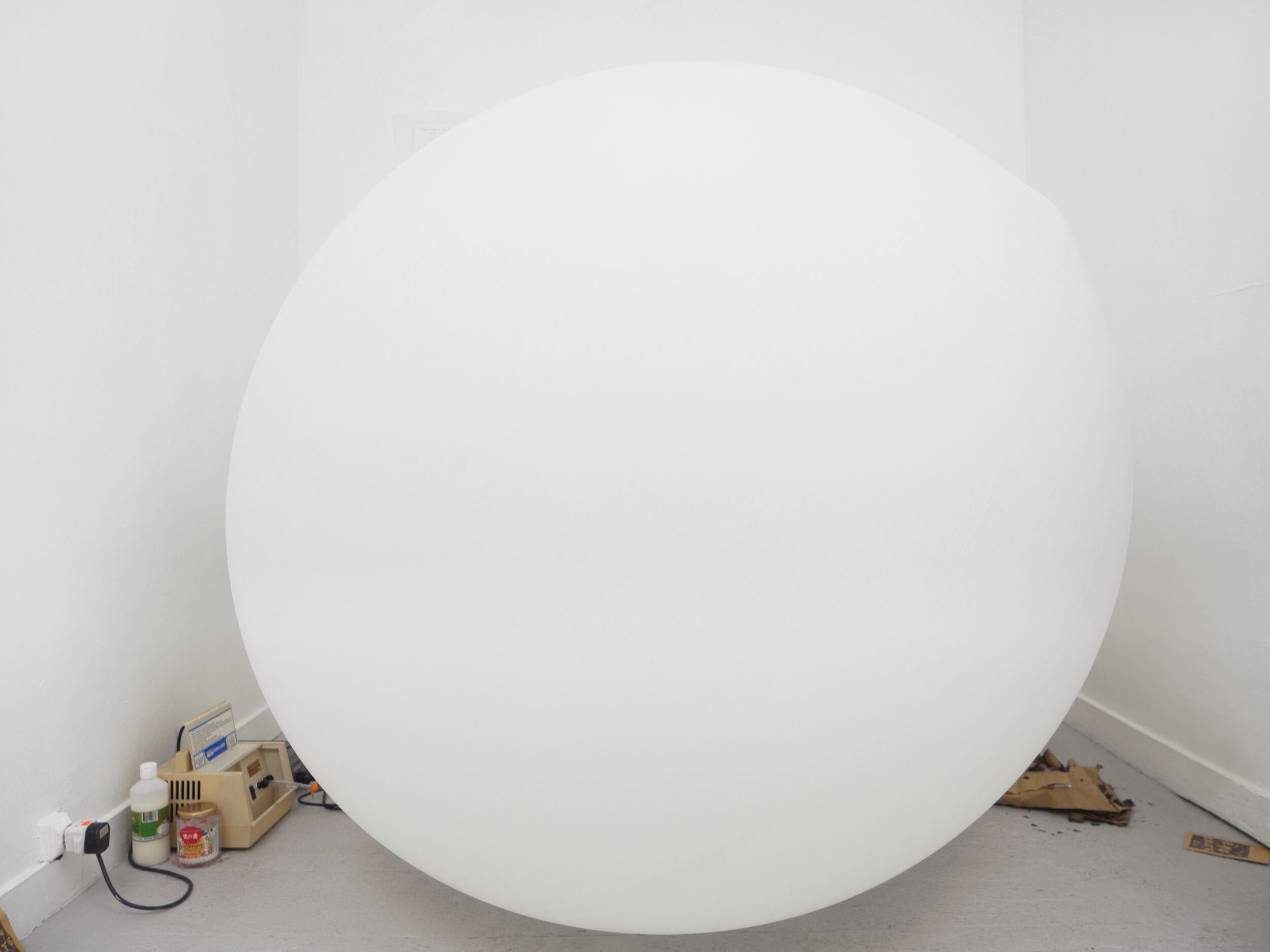 REAL CHARACTERS - Pauline Perplexe