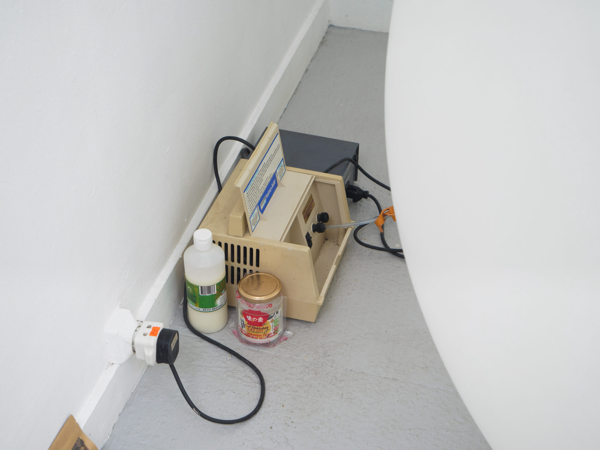 REAL CHARACTERS - Pauline Perplexe